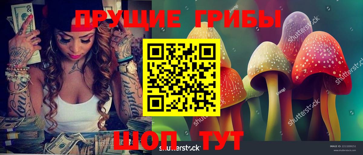 Псилоцибиновые грибы Magic Shrooms Вышний Волочёк